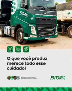 Frota